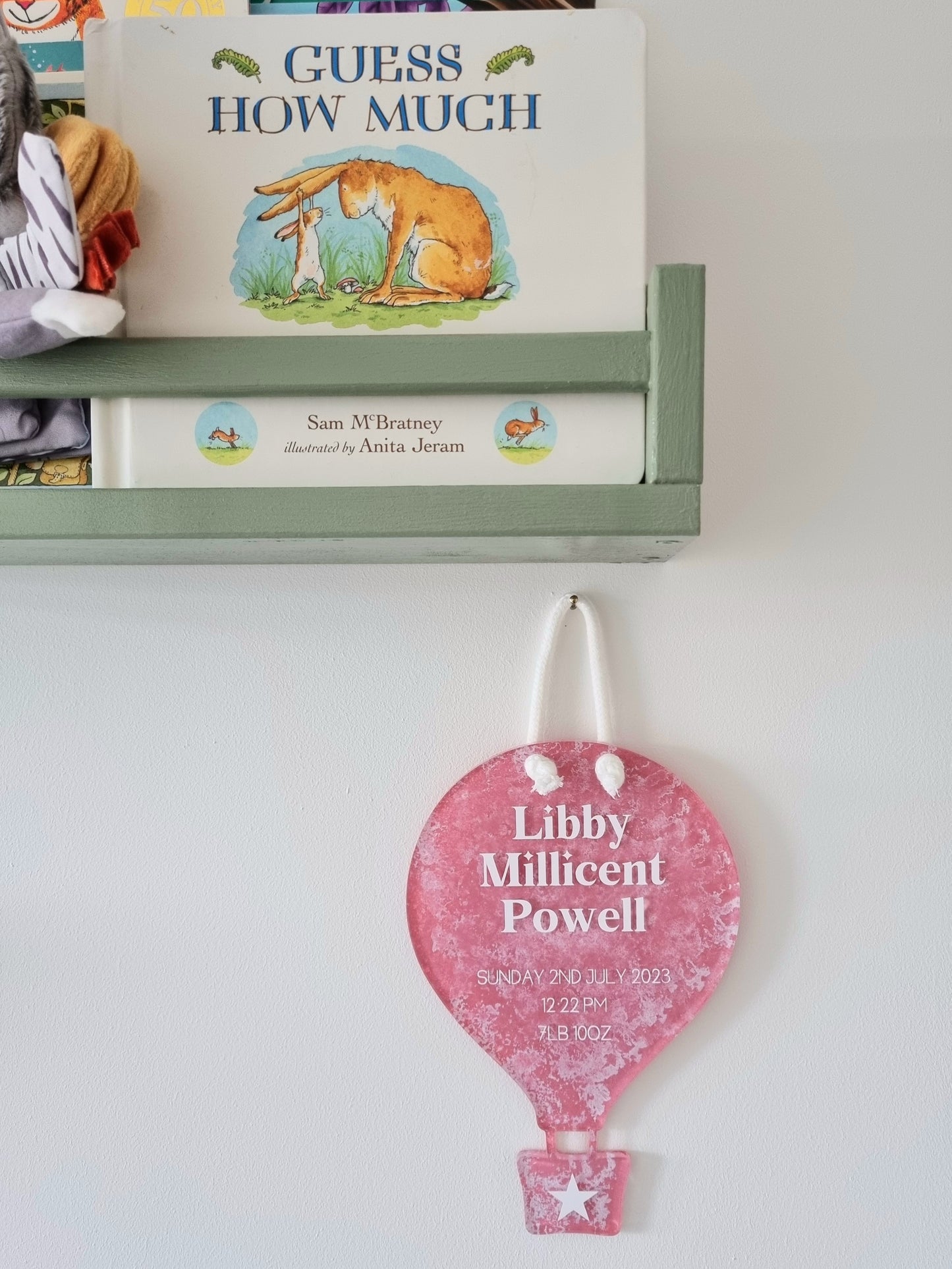 Hot Air Balloon Birth Details Sign