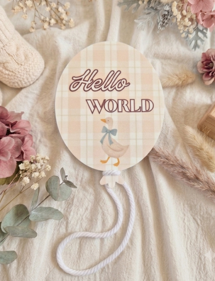 Hello World Acrylic Announcement Balloon - Duck