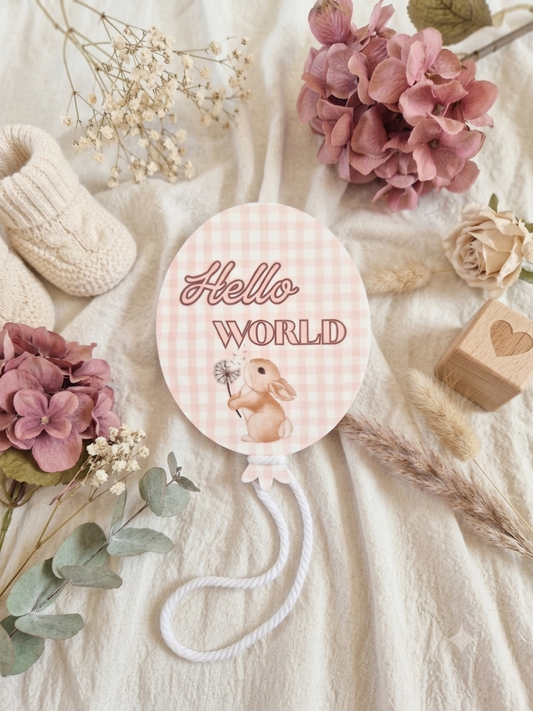 Hello World Acrylic Announcement Balloon - Bunny