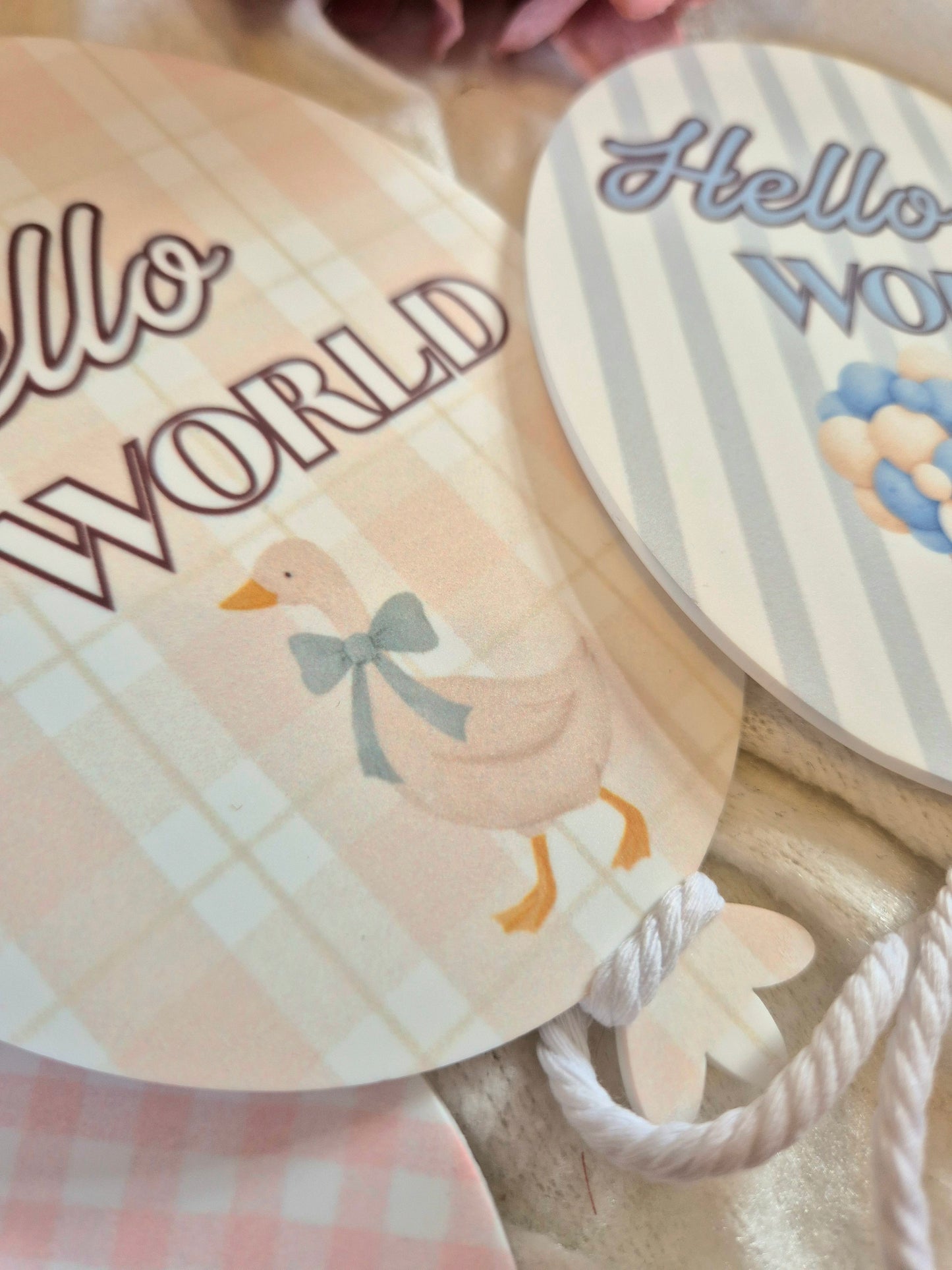 Hello World Acrylic Announcement Balloon - Duck