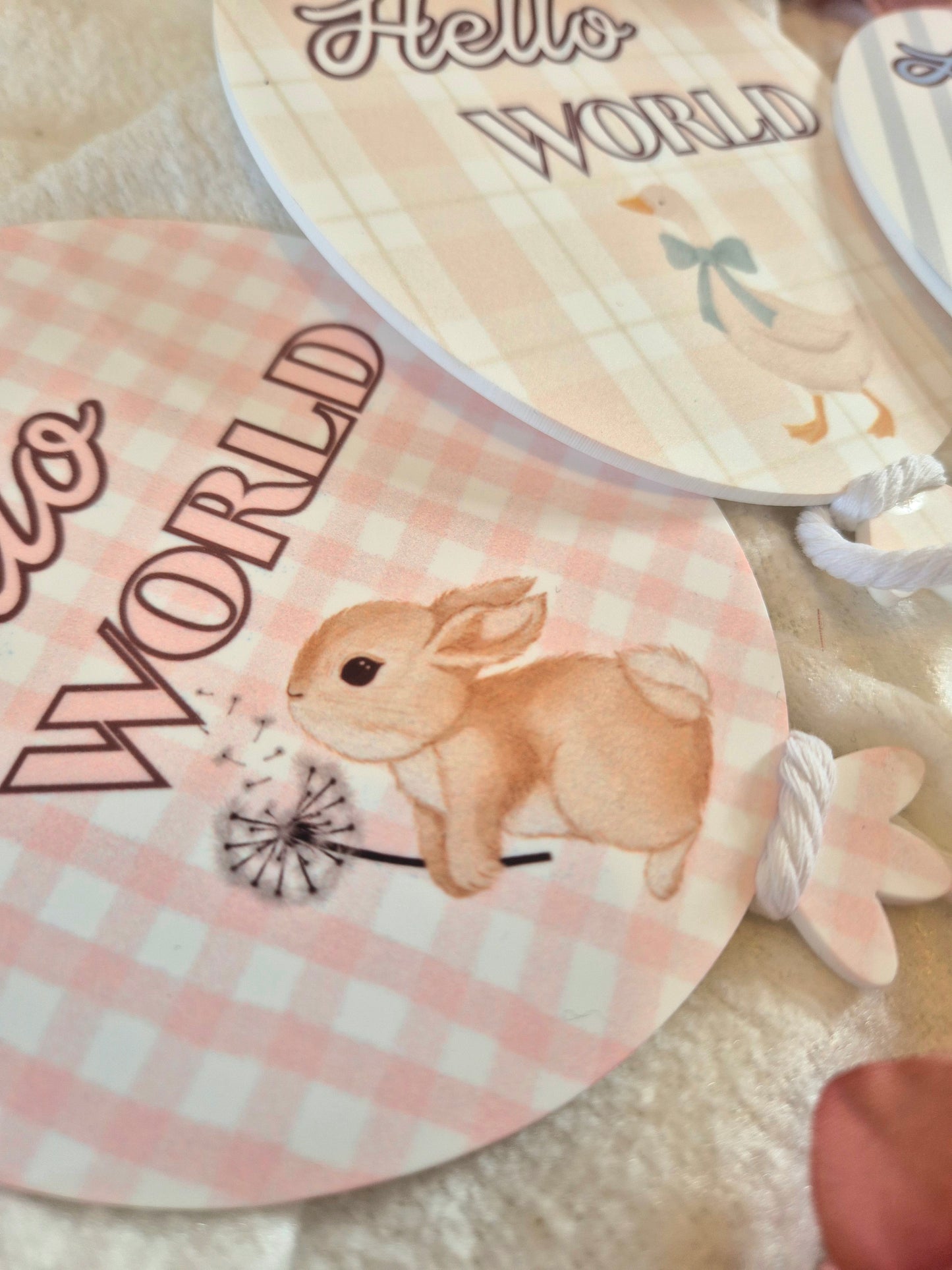 Hello World Acrylic Announcement Balloon - Bunny