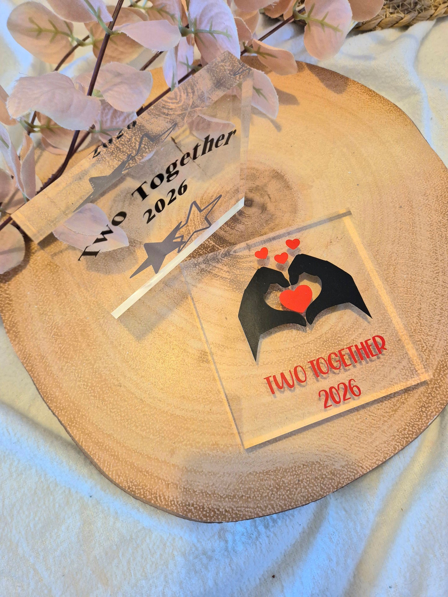 Slimming Competition Acrylic Awards